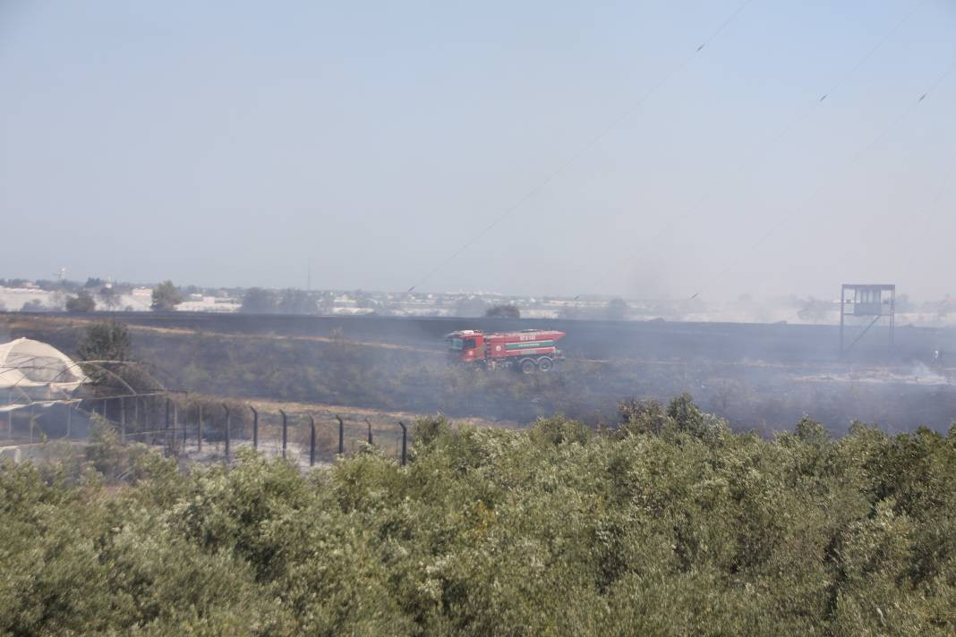 Otluk alanda başladı orman ve seralara sıçradı - Resim: 14